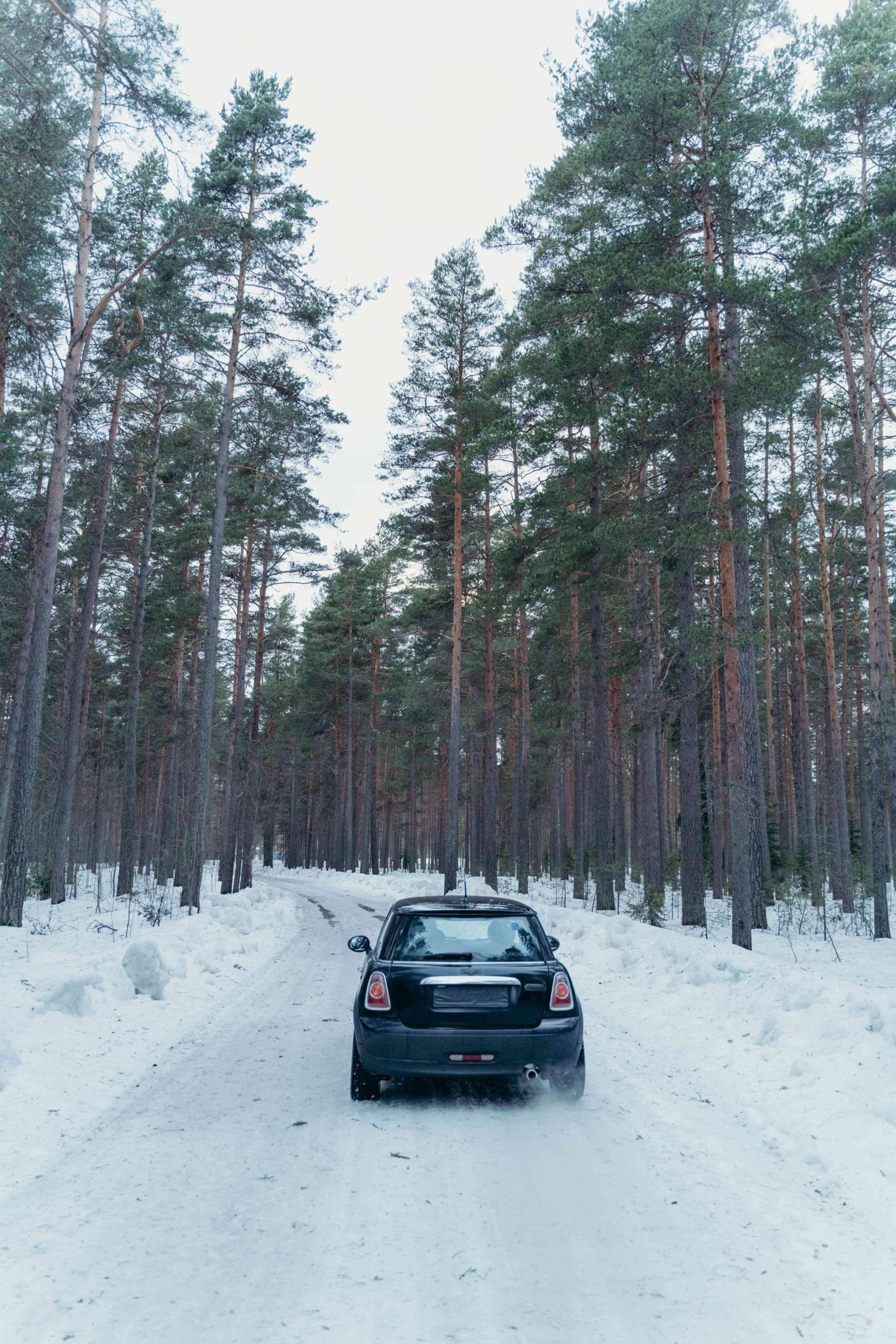 cambio gomme invernali