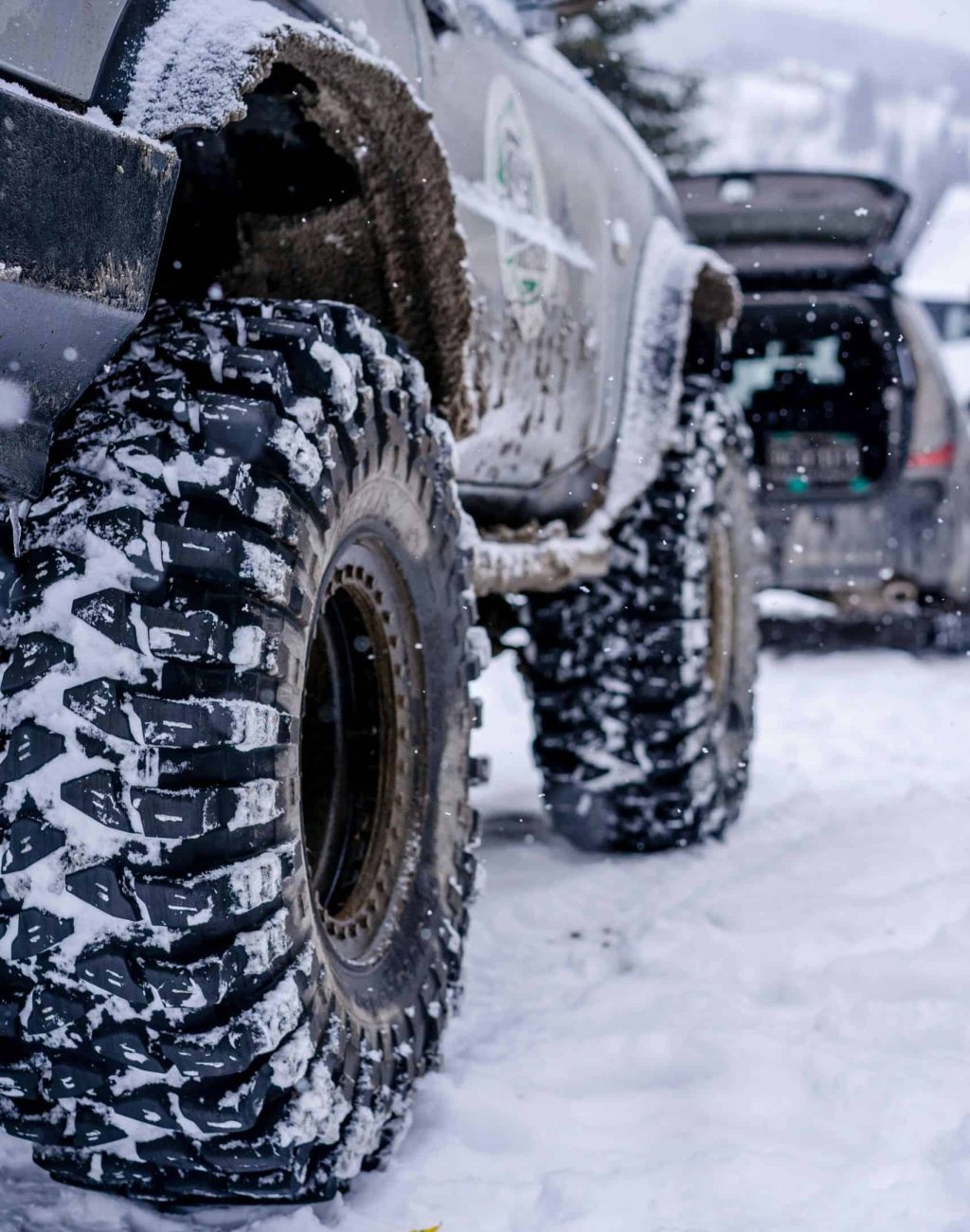 pexels-freestockpro-12956027